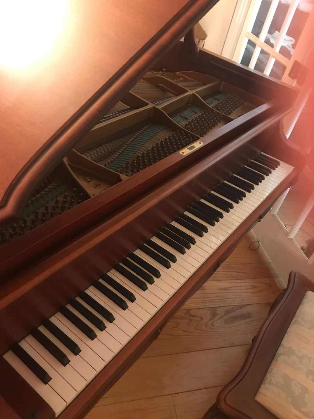 1985 Steinway Louis XV Special Edition Model S Grand Piano | Hamburg - Image 4