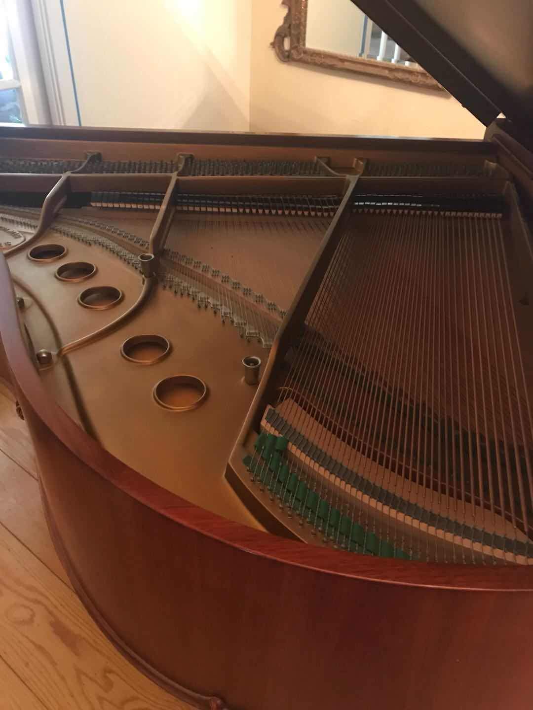 1985 Steinway Louis XV Special Edition Model S Grand Piano | Hamburg - Image 5