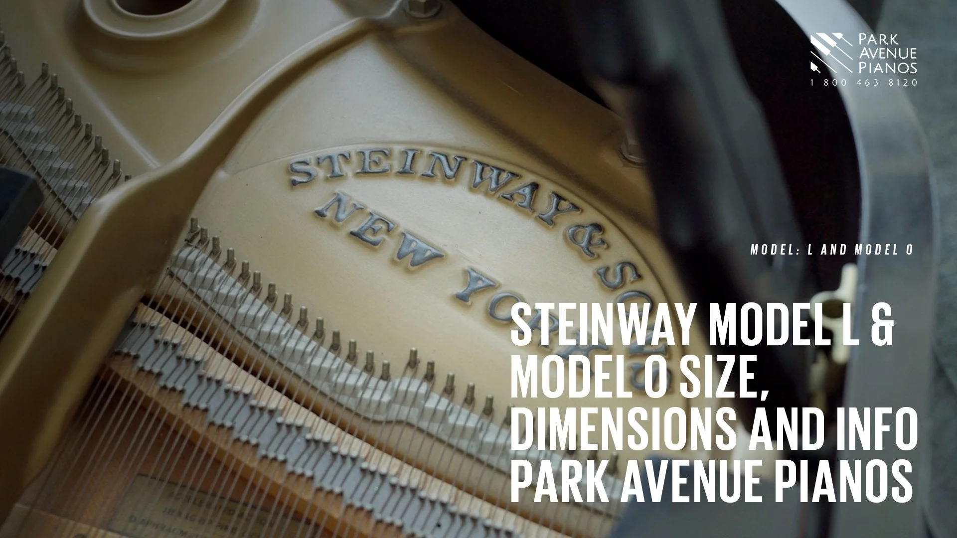 1985 Steinway Louis XV Special Edition Model S Grand Piano | Hamburg - Image 7
