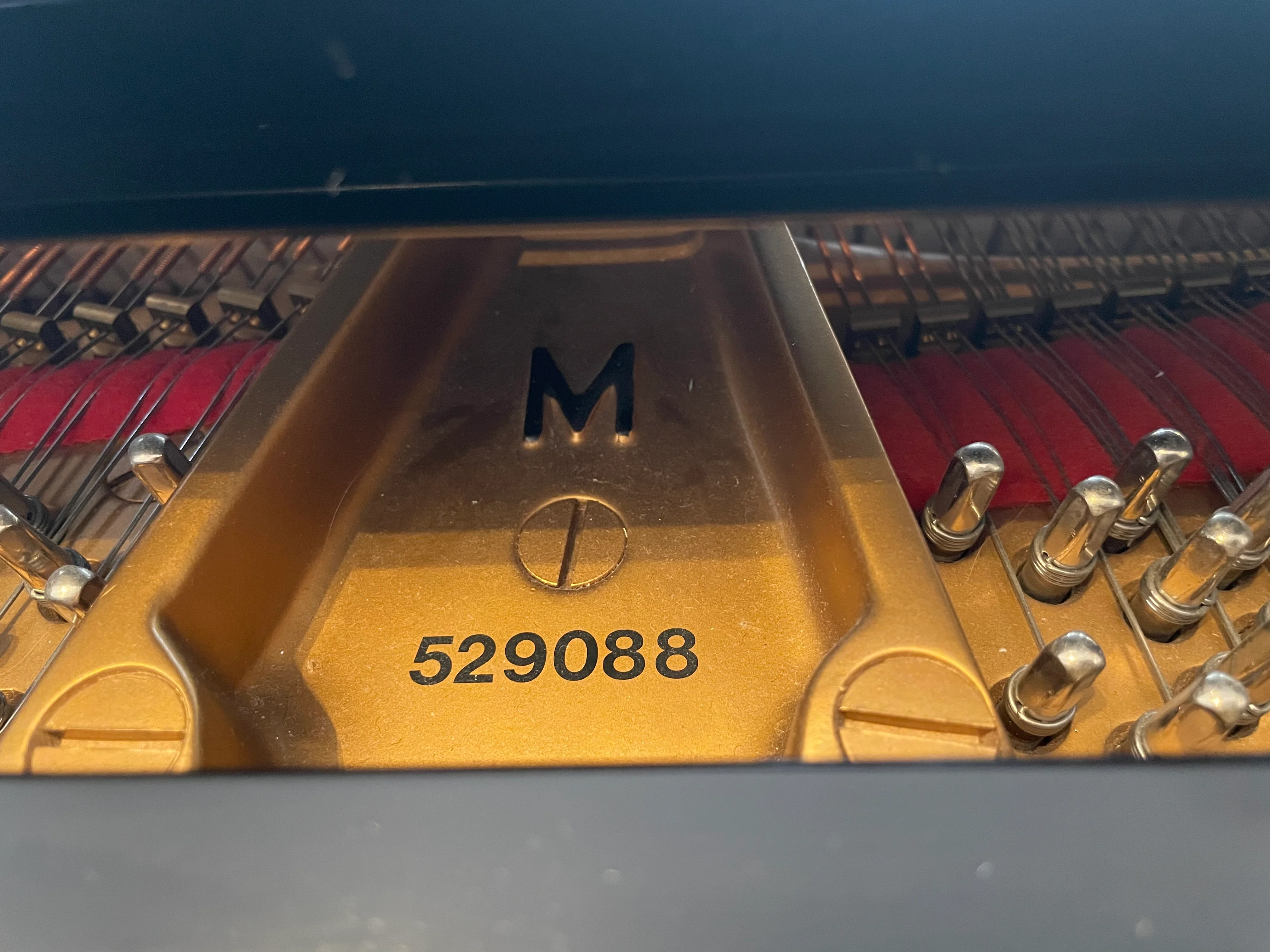 1995 Hamburg Steinway Model M Piano | High Gloss |  Paris, France - Image 6
