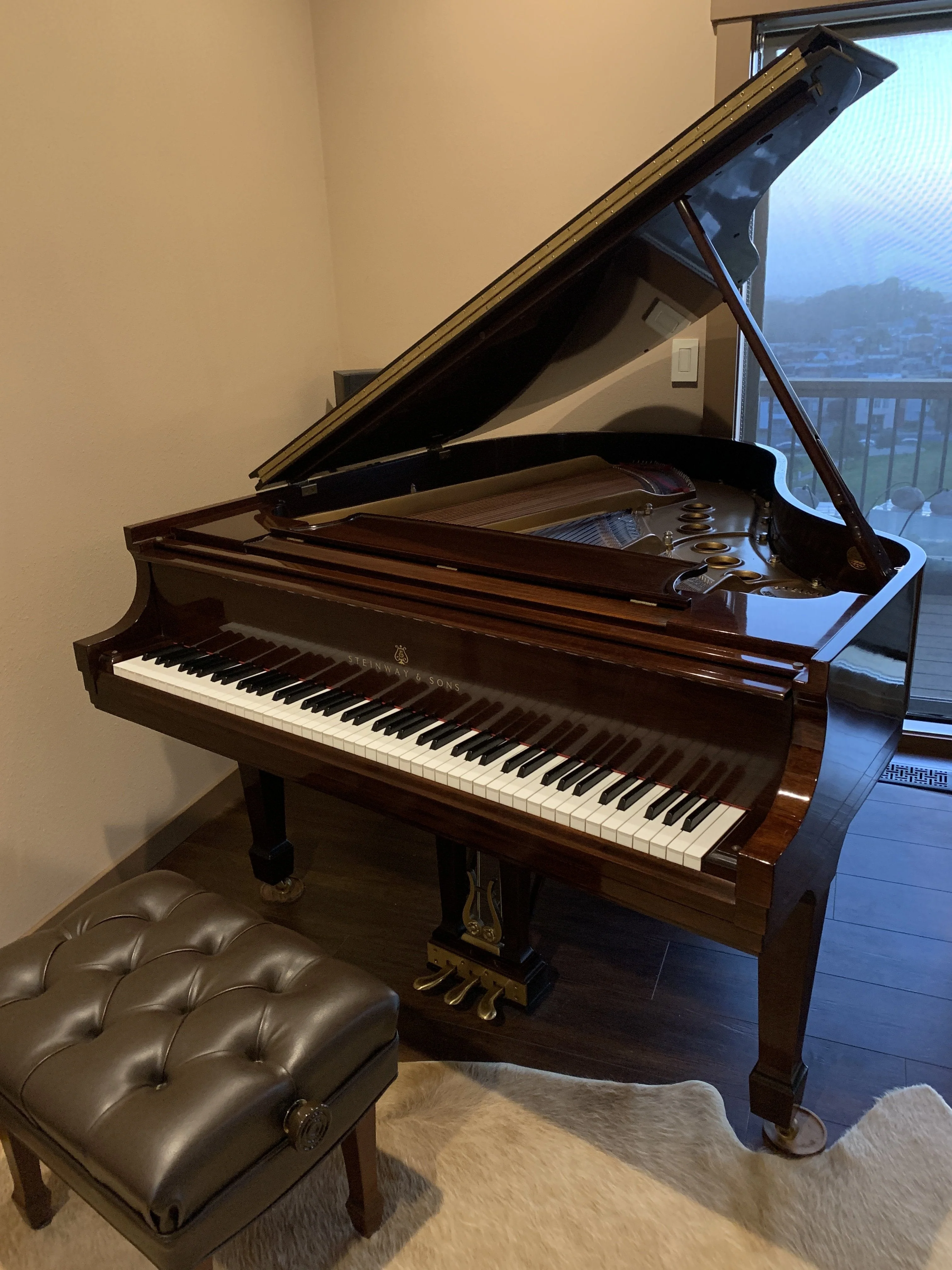 2005 Steinway Model M Grand | Mahogany Crown Jewel | New York - Image 4