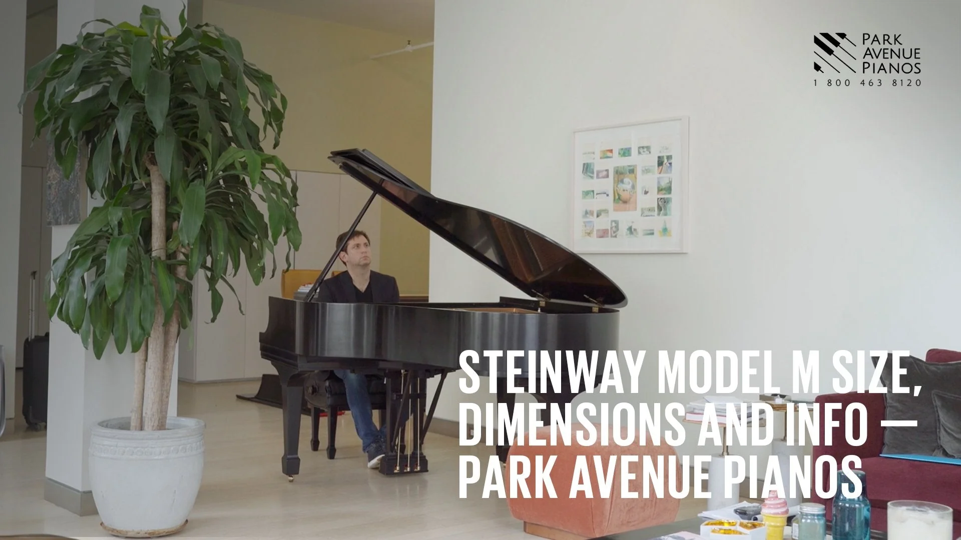 2005 Steinway Model M Grand | Mahogany Crown Jewel | New York - Image 7
