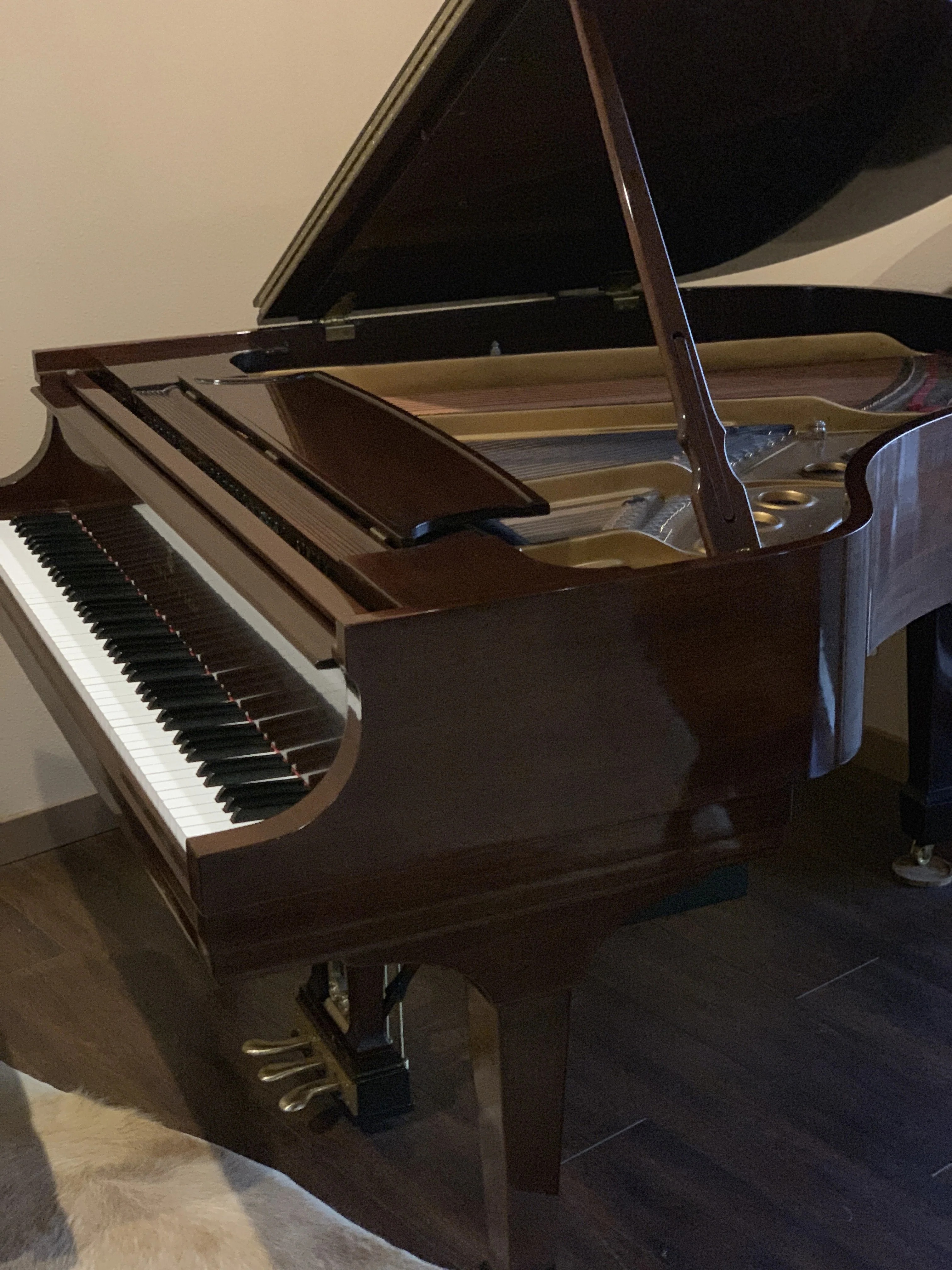 2005 Steinway Model M Grand | Mahogany Crown Jewel | New York - Image 8