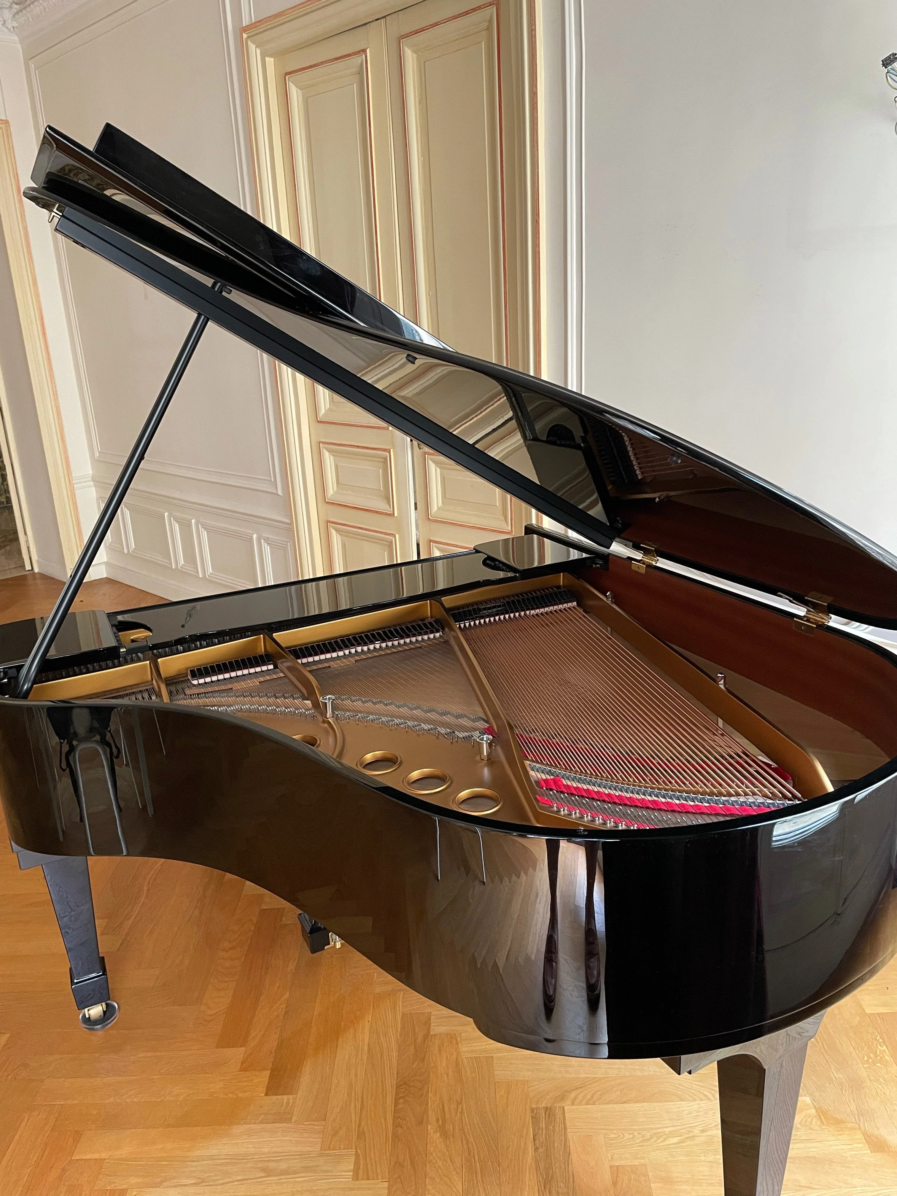 2010 Hamburg Steinway Grand Piano Model M | Ebony - Image 6