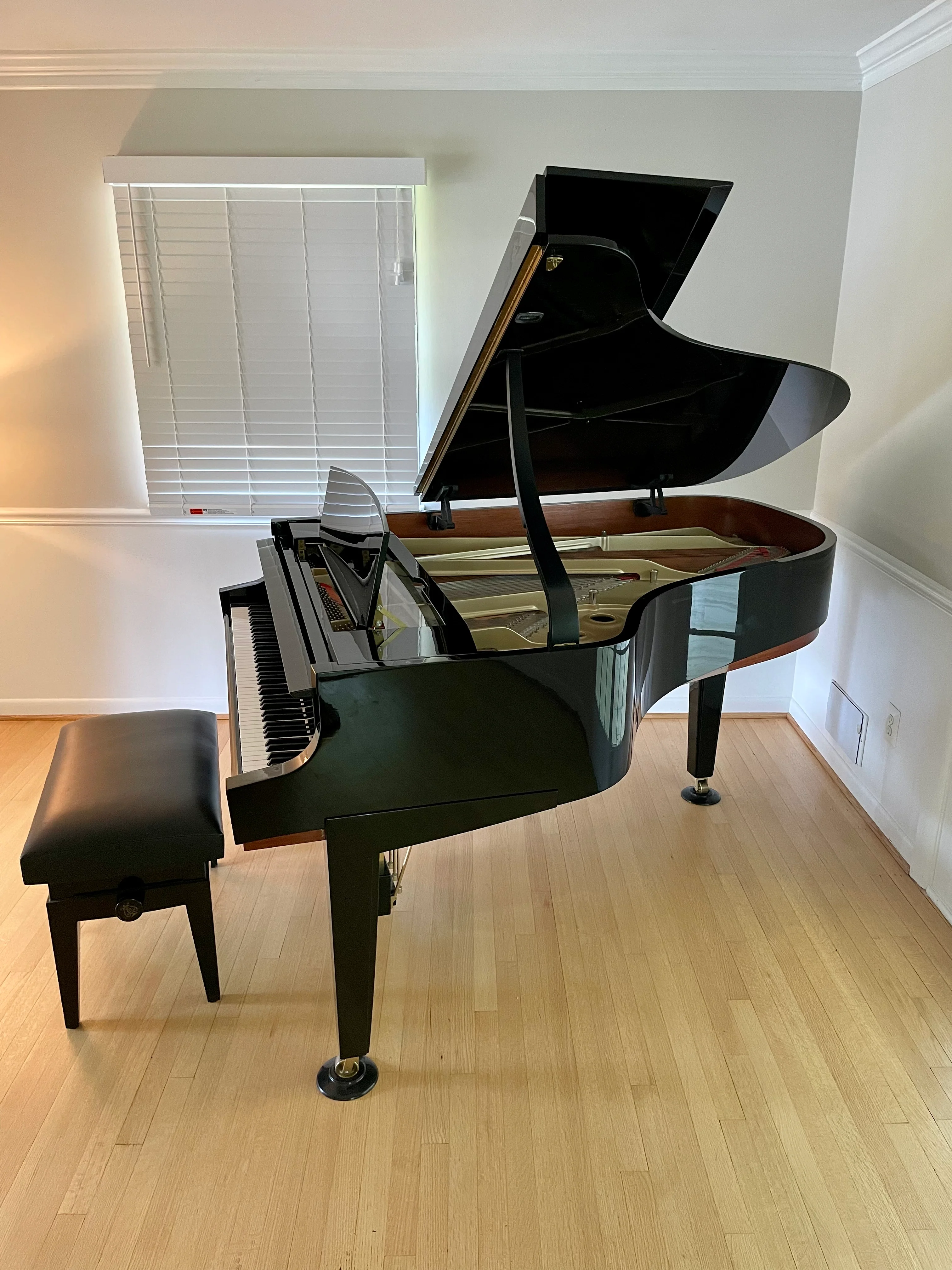 Hamburg Steinway Model A | Dakota Jackson Tricentennial Extremely Limited Edition from 2000 - Image 7
