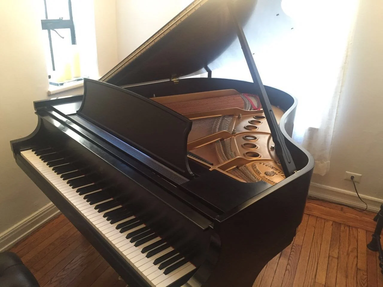 2008 Steinway Model M Grand Piano - Image 5