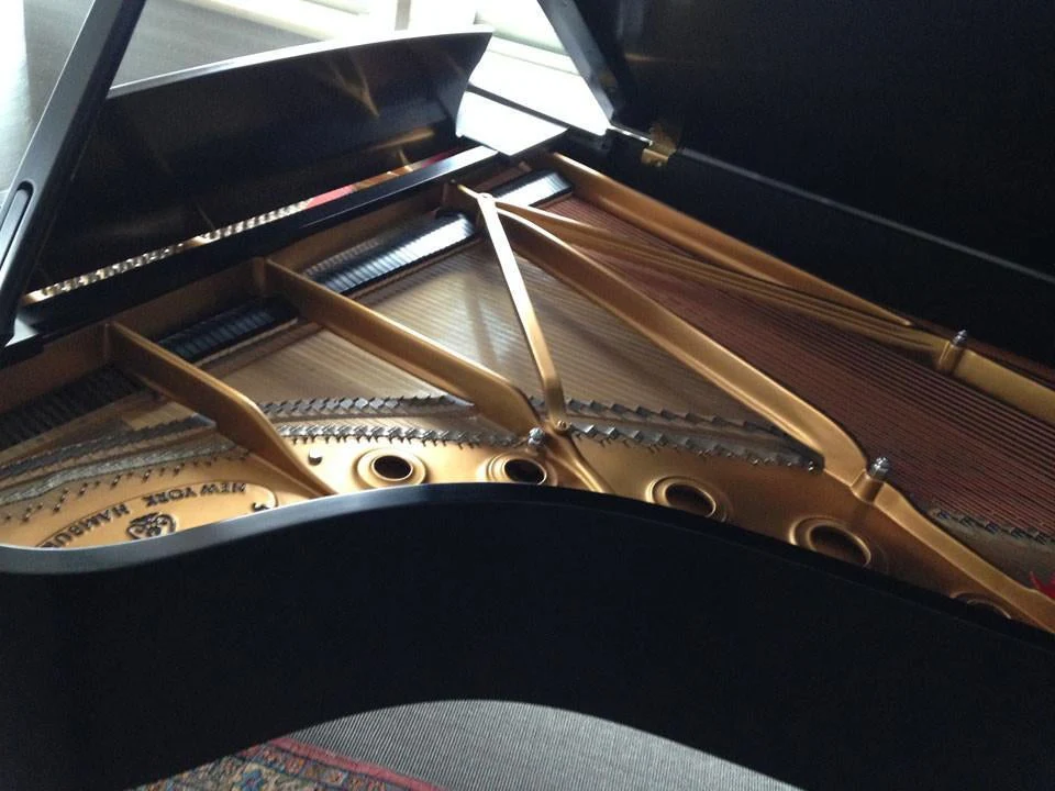 1994 Steinway Model B Grand Piano - Image 4
