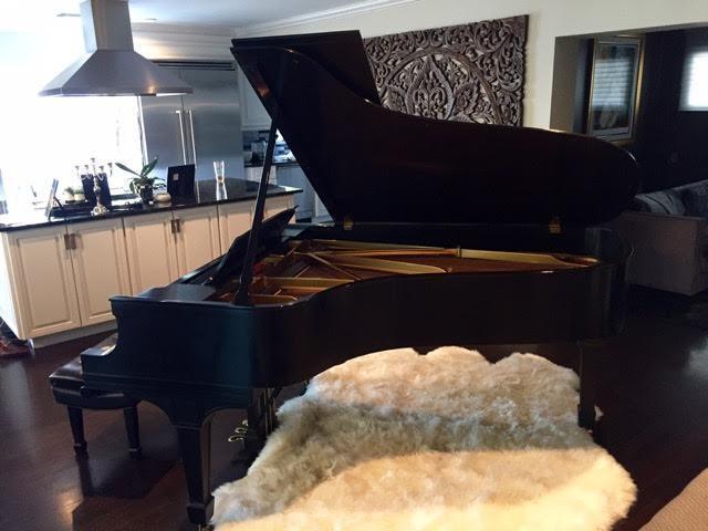 Steinway Model B Grand Piano - Image 4