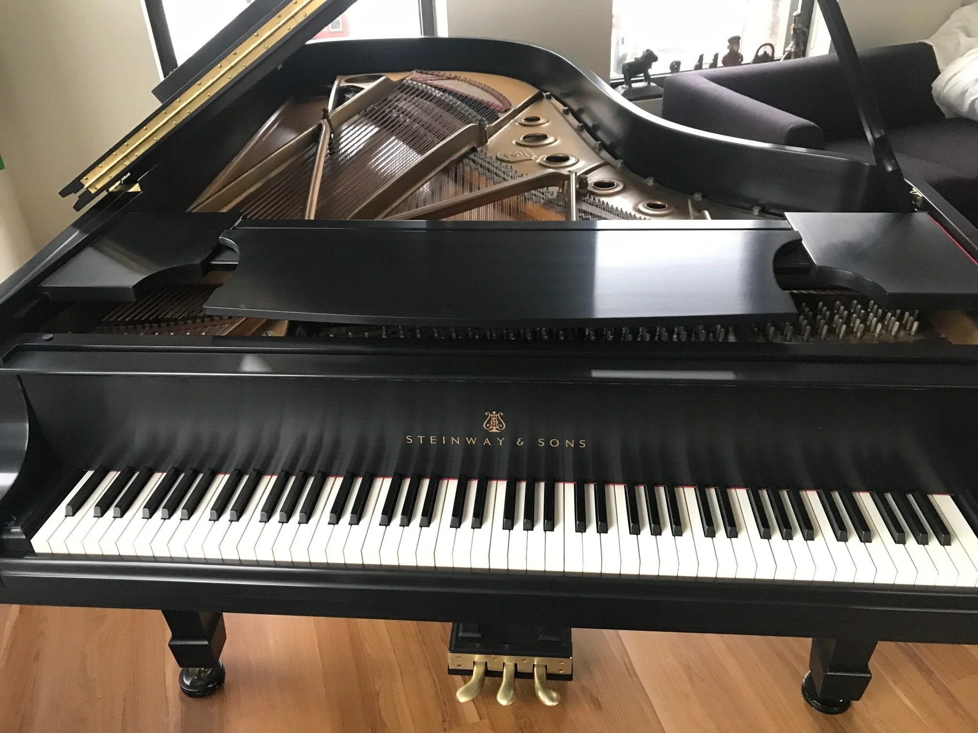 Steinway Model B Grand Piano | Ebony - Image 5