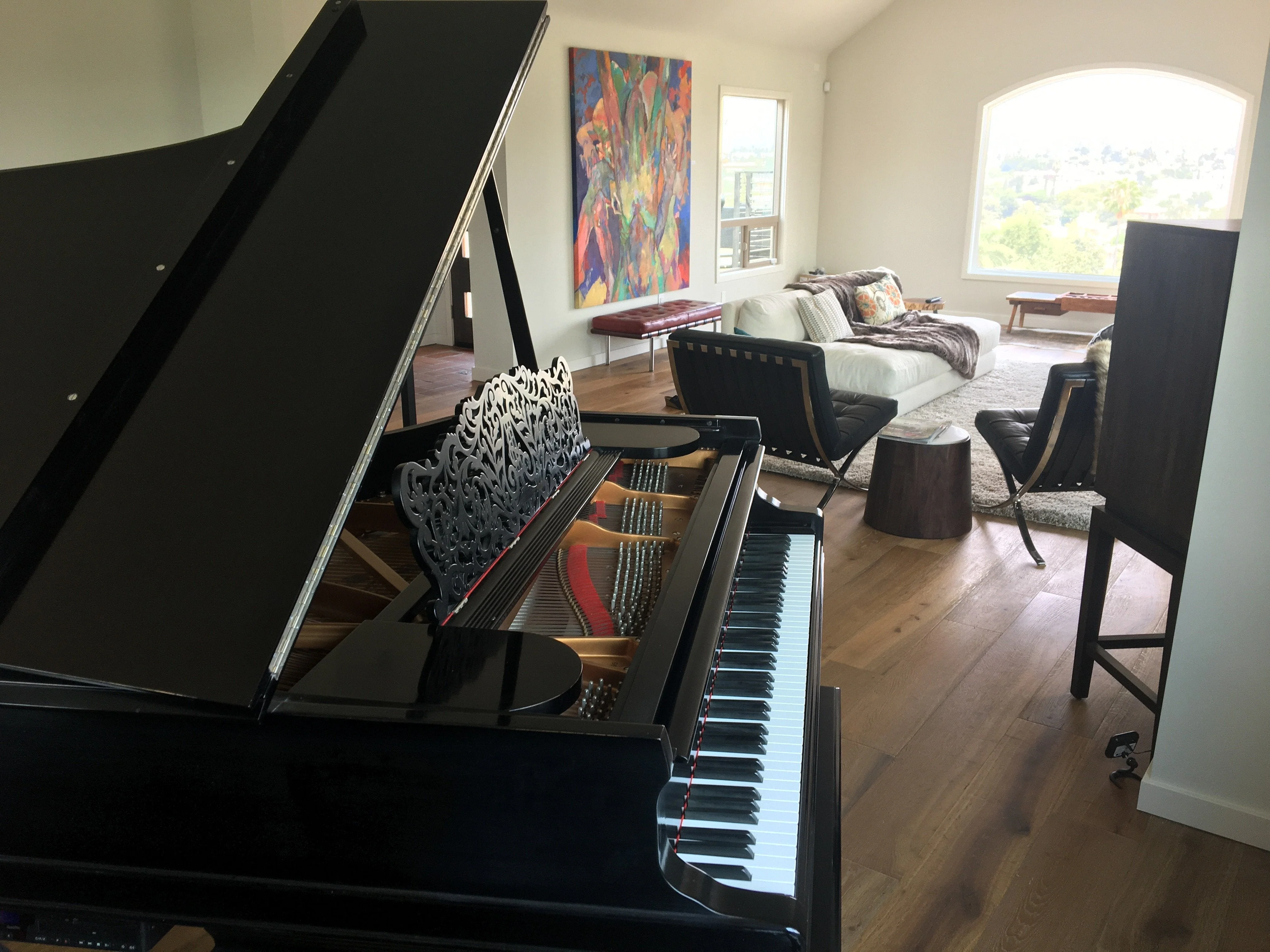 Steinway Model B Grand Piano Henry Ziegler Limited Edition - Image 3