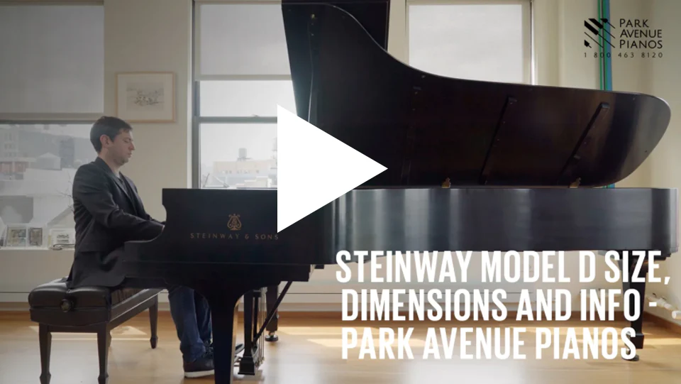 Steinway Model D Concert Grand Piano 1980 | Ebony - Image 4