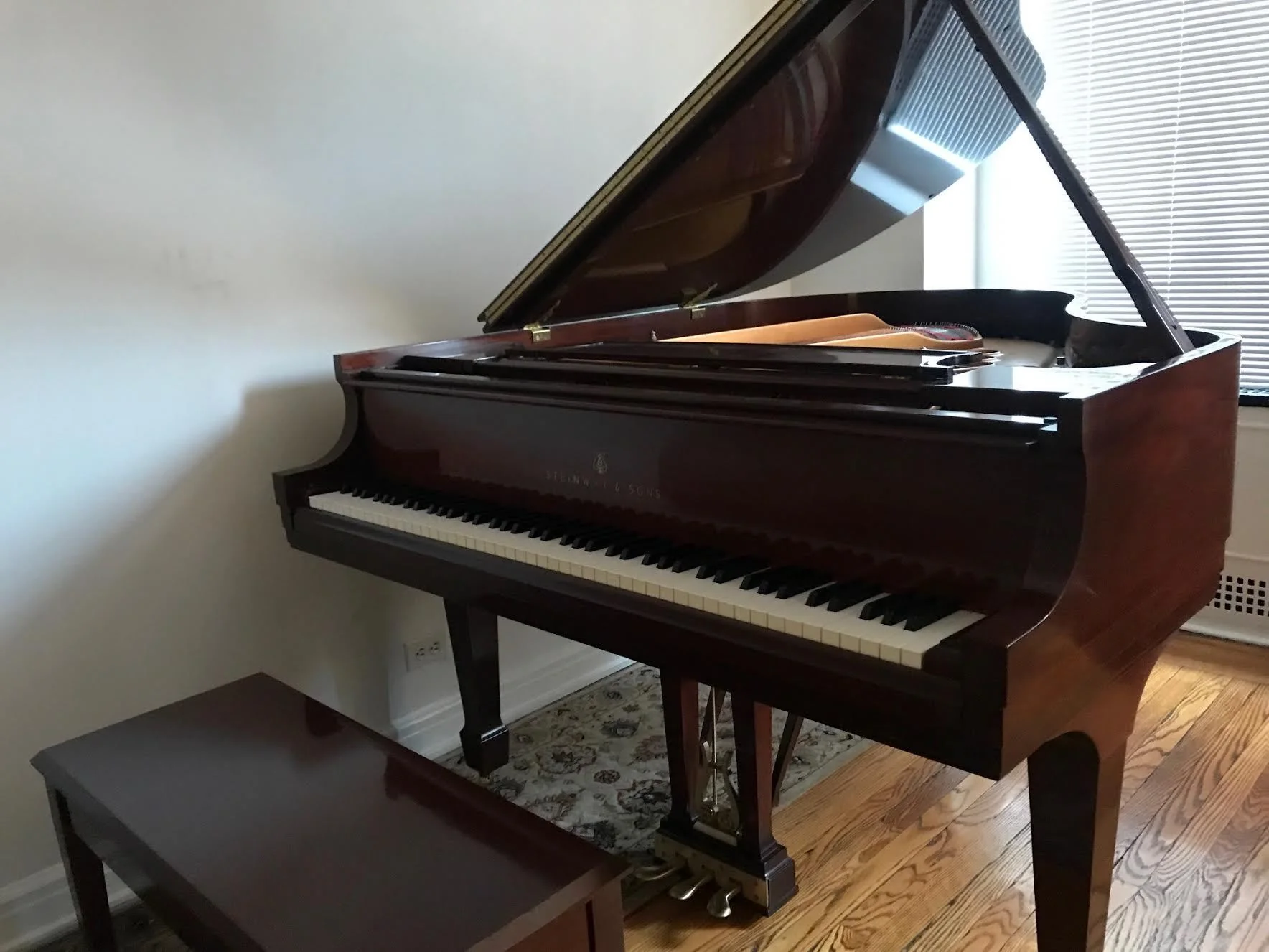 2004 Steinway Model M Grand Piano - Image 3