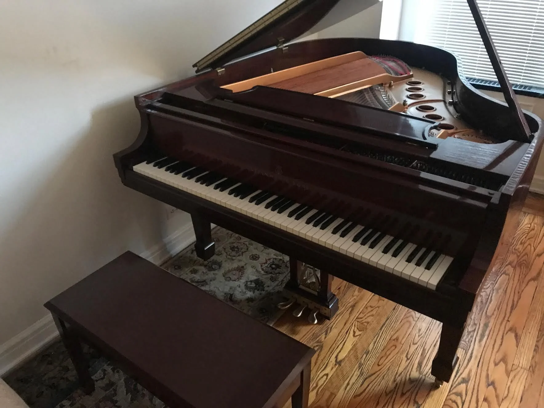 2004 Steinway Model M Grand Piano - Image 4