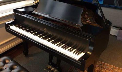 2007 Steinway Model M Grand Piano - Image 3