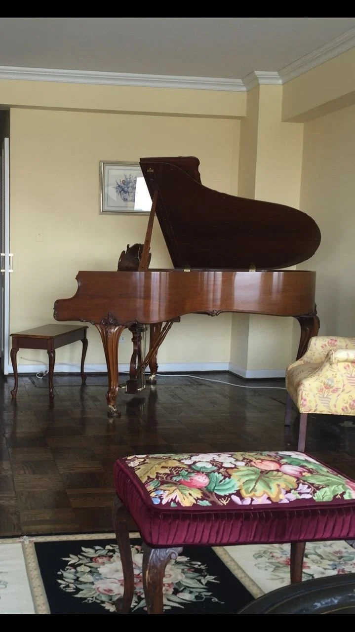 Steinway Model M Grand Piano Louis XV special edition - Image 3